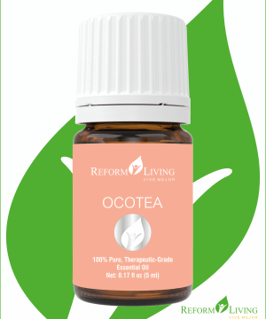 OCOTEA Aceite Esencial de Ocotea 5ml