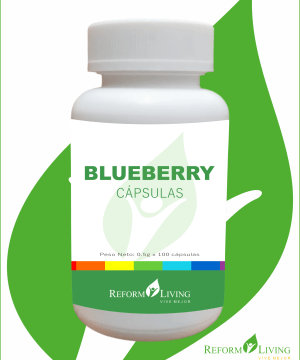 Blueberry